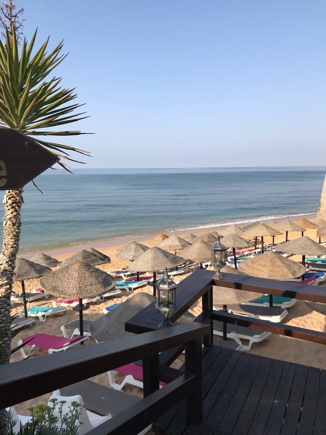 Restaurantes Rocha da Palha