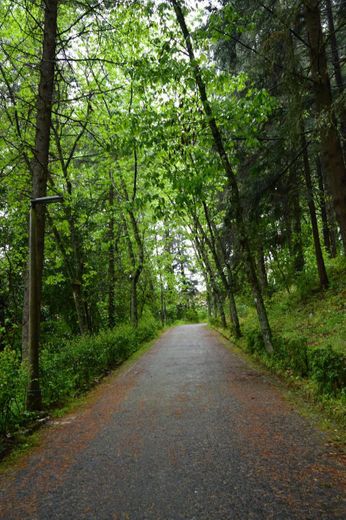 Parque Florestal