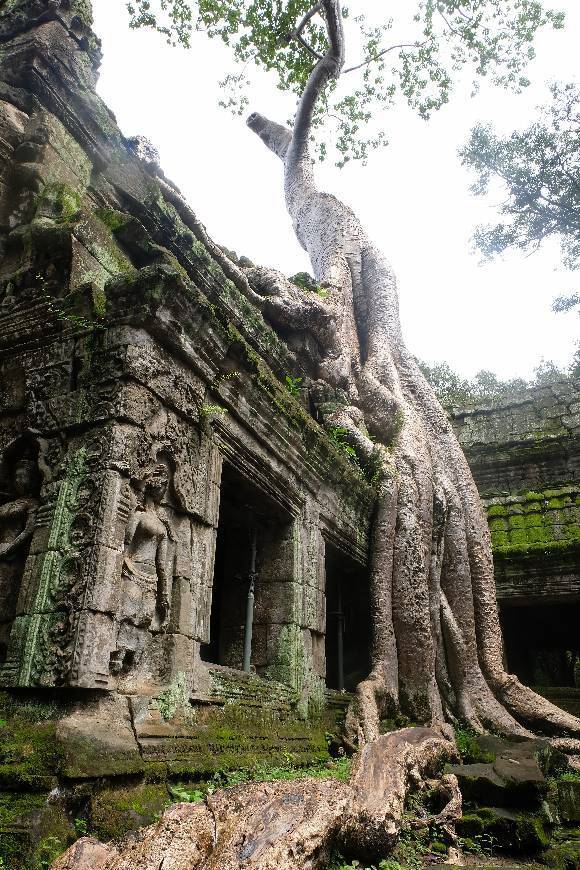 Lugares Angkor Wat Temple Guides - San Park