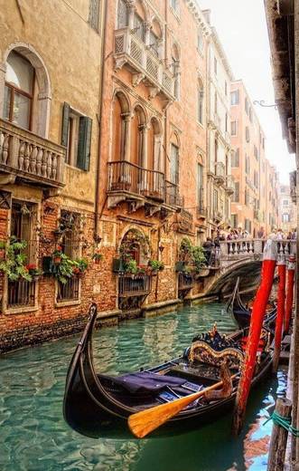 Venecia