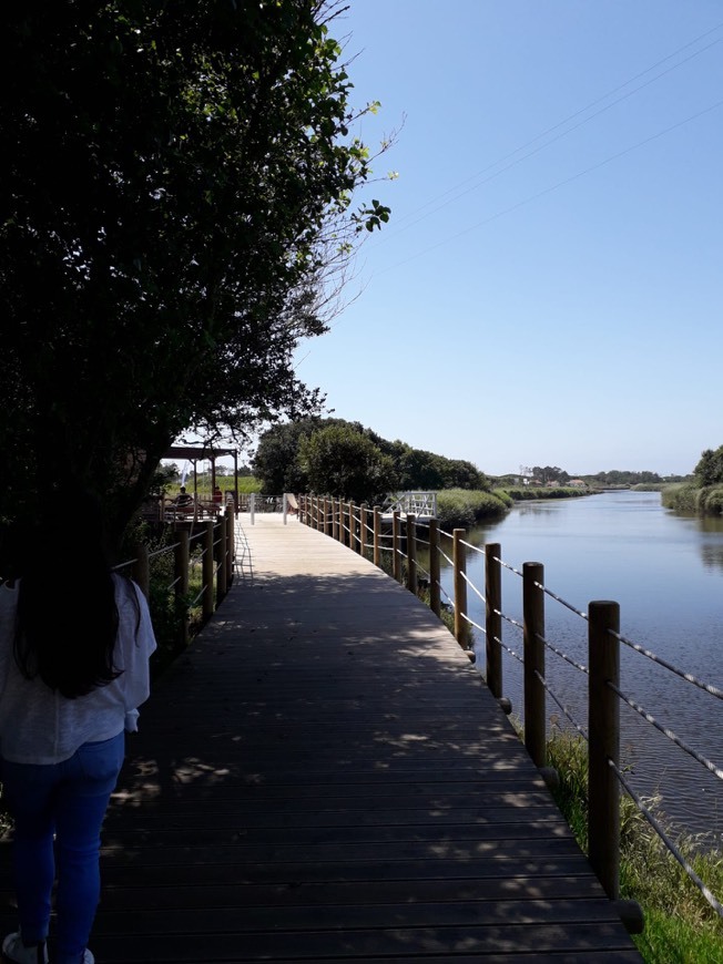 Lugar Ponte Rio Neiva - Ecovia Litoral Norte