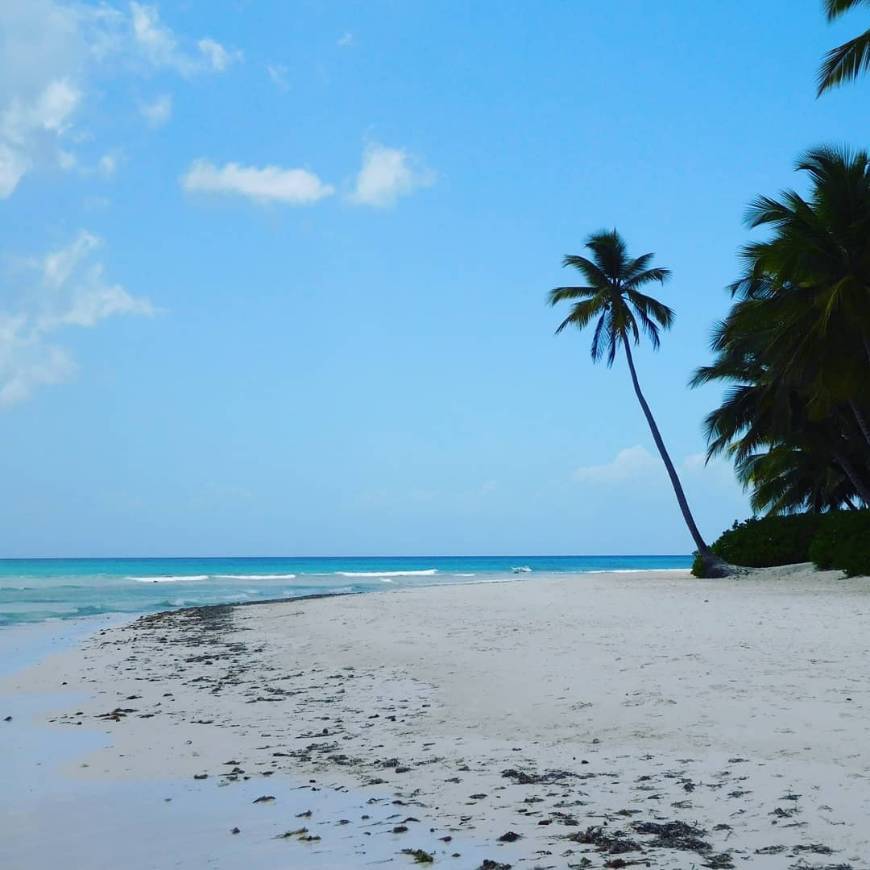 Isla Saona