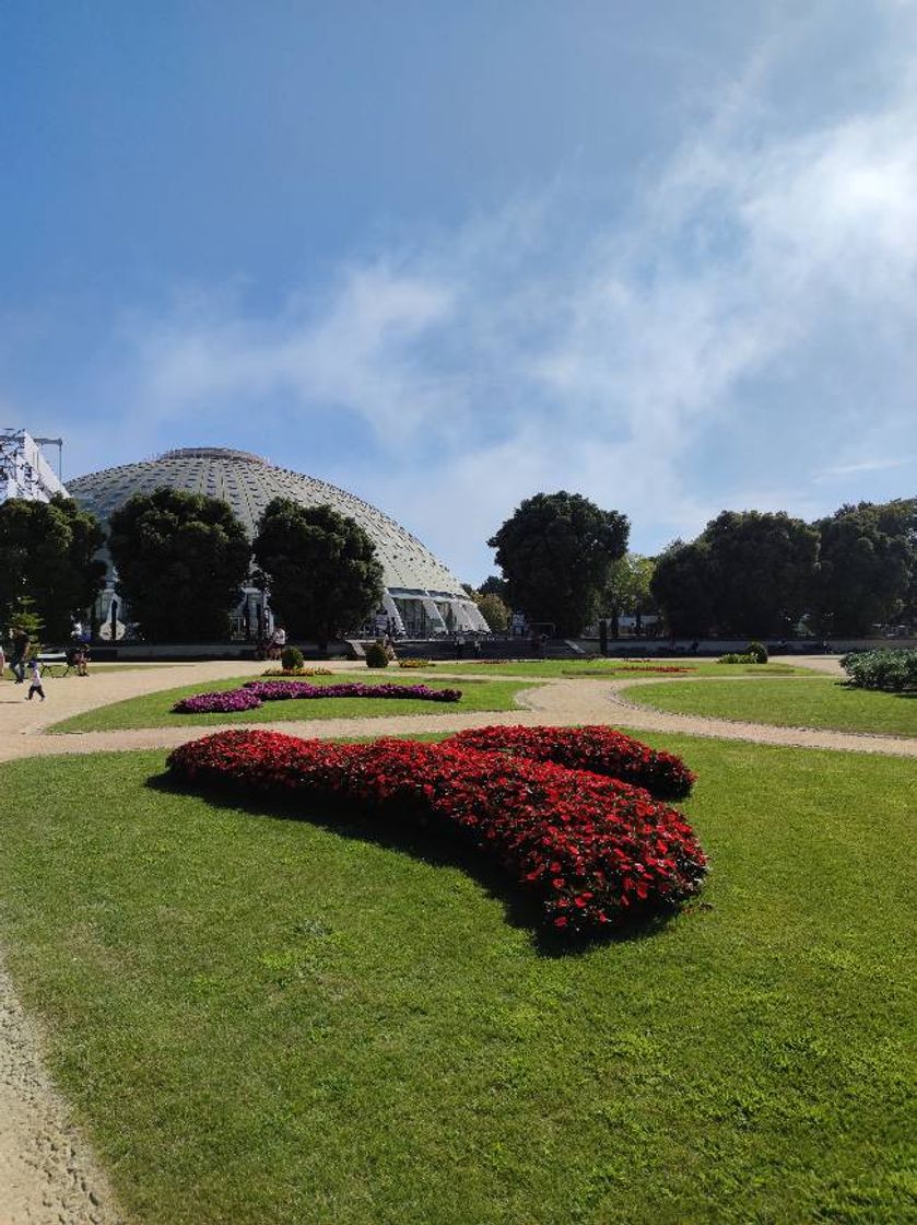 Place Oporto