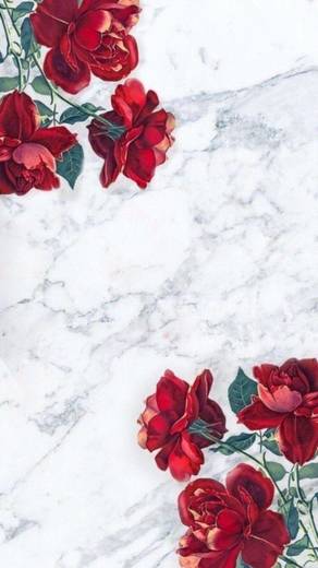 Wallpaper mármore com rosas