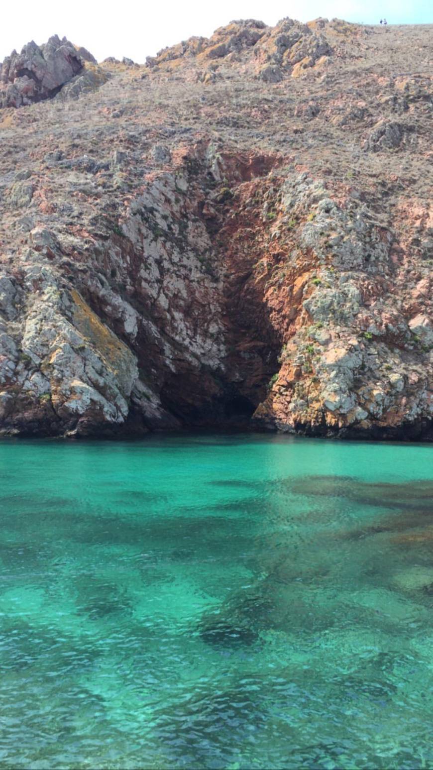 Place Berlengas