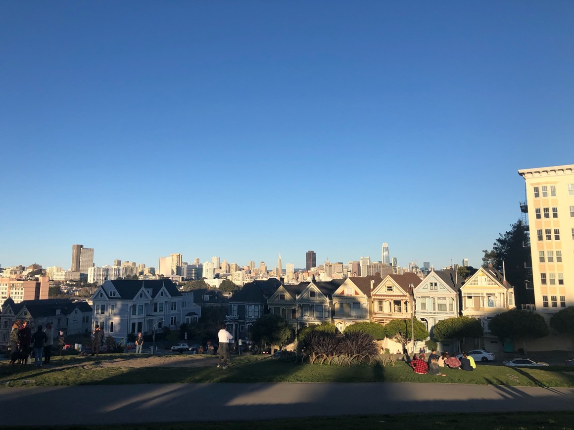 Place Painted Ladies