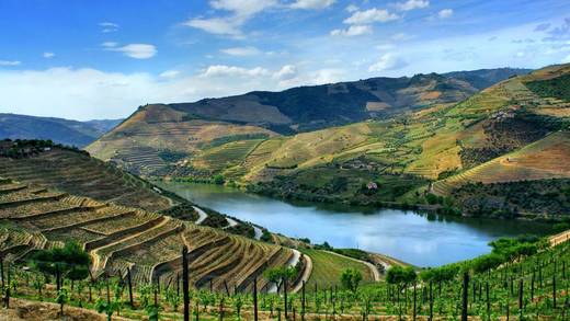 Douro