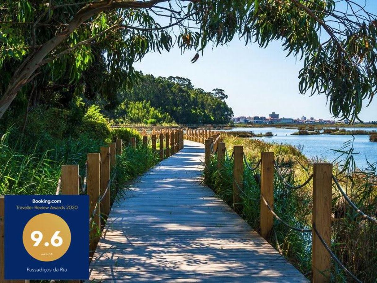 Social Passadiços de Aveiro