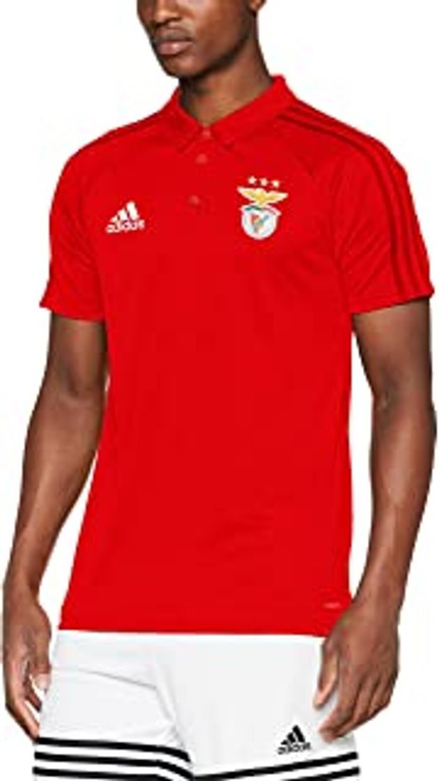 Fitness adidas - SL Benfica -  Casaco Pre 19/20