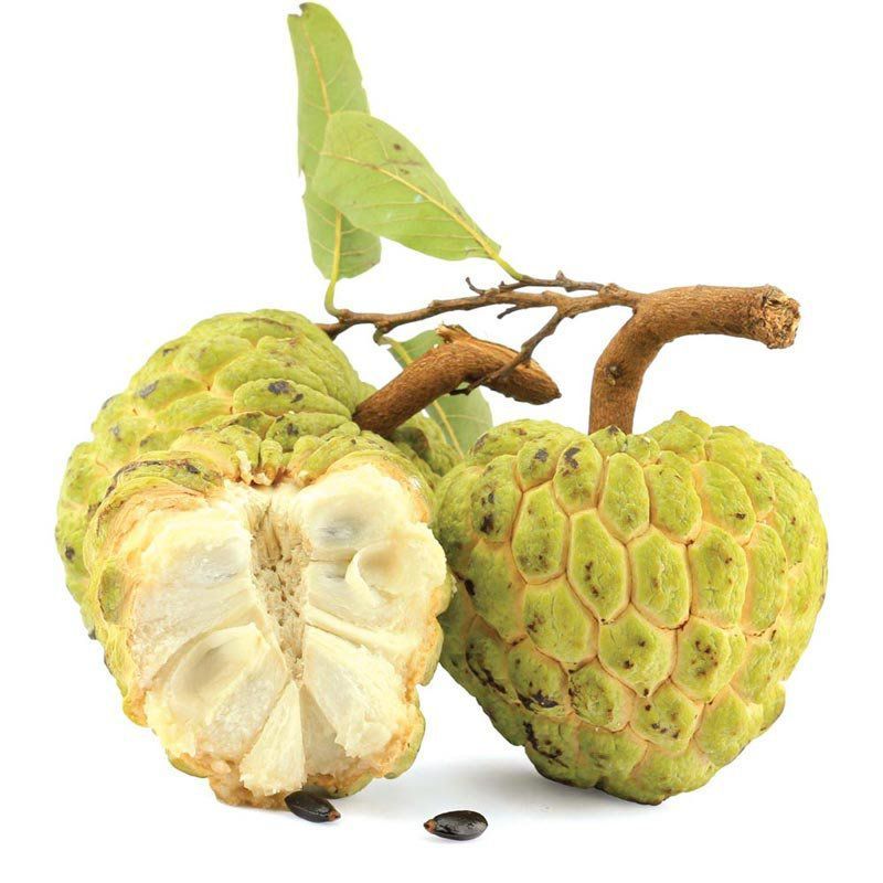 Fruta Pinha