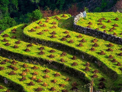 Sistelo - Paisagem Cultural