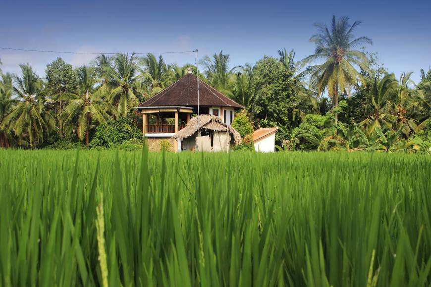 Lugar Ubud Yoga House