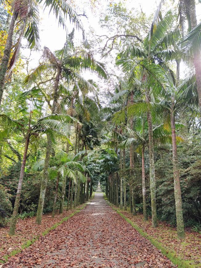 Lugar Açores