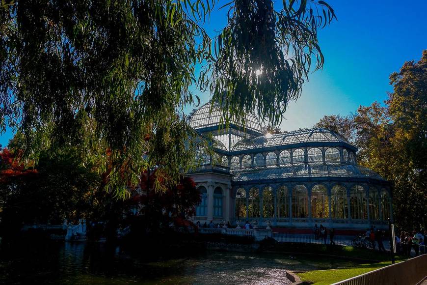 Lugar Palacio de Cristal