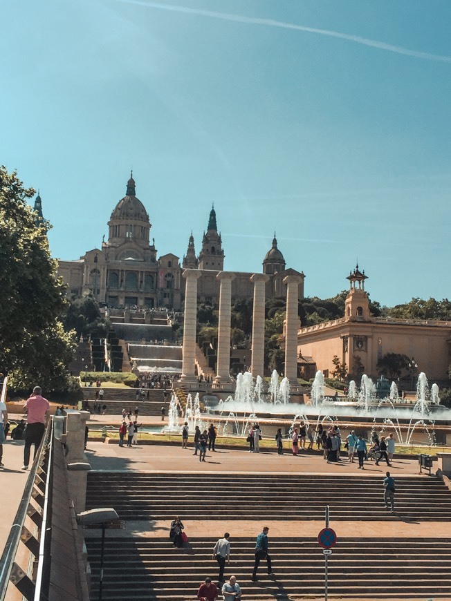 Place Museo Nacional de Arte de Cataluña