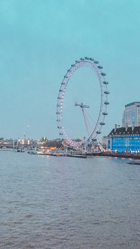 Place London Eye