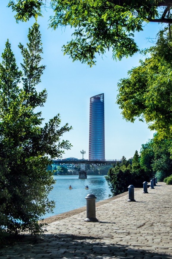 Place Calle Río Guadalmedina