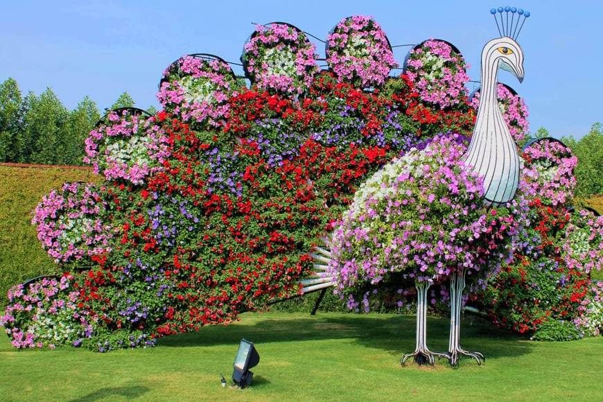 Lugar Miracle Garden