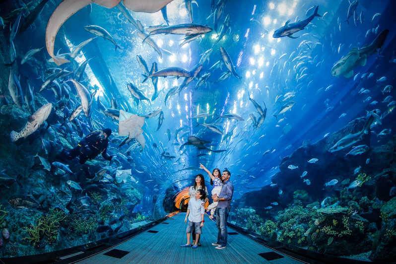 Place Dubai Aquarium & Underwater Zoo