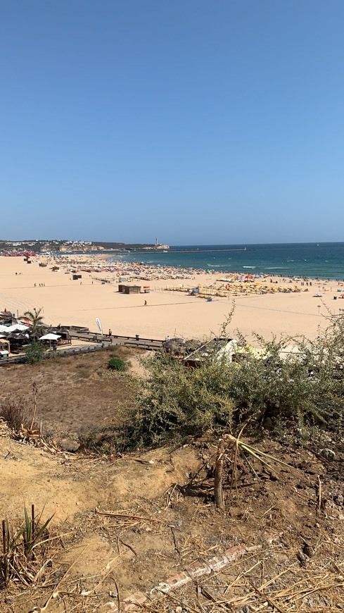 Place Praia da Rocha