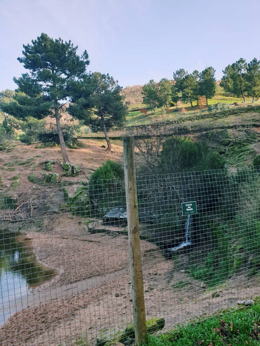 Lugar Parque Ecológico De Gouveia