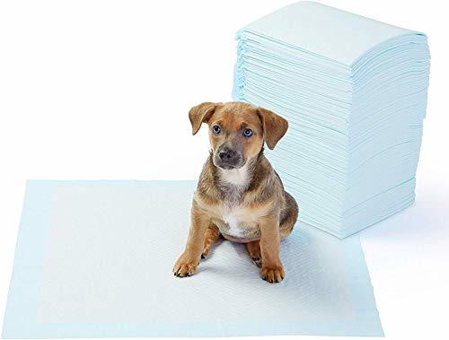 Social AmazonBasics - Toallitas de entrenamiento para mascotas