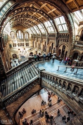 Place Natural History Museum