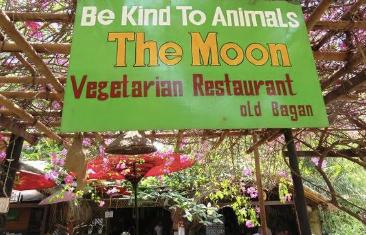 Restaurants The Moon Vegetarian Restaurant