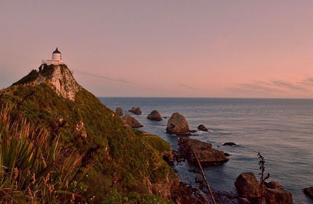 Lugar Nugget Point Lighthouse