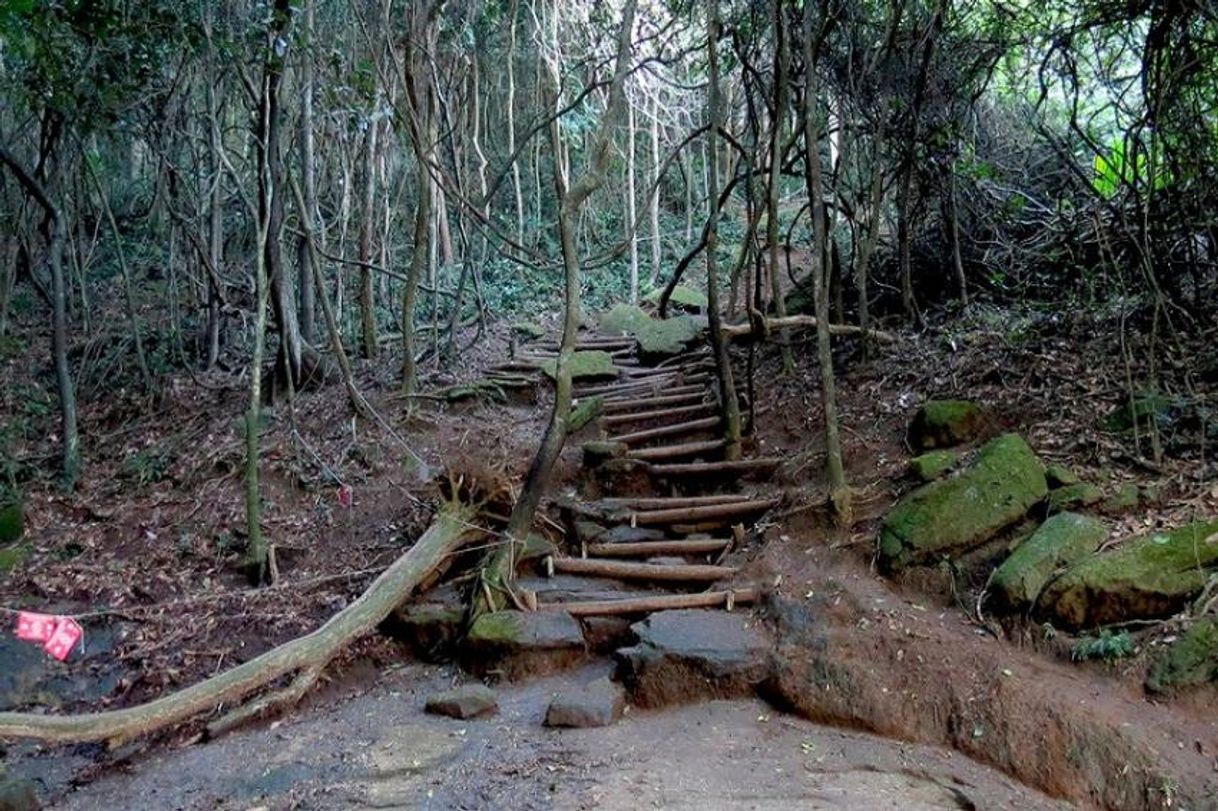 Lugar Trilha do Morro da Urca