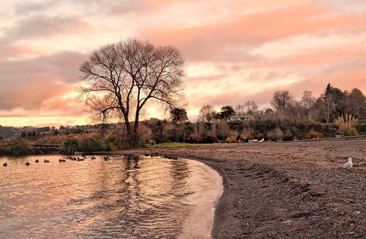 Lugar Lago Taupo