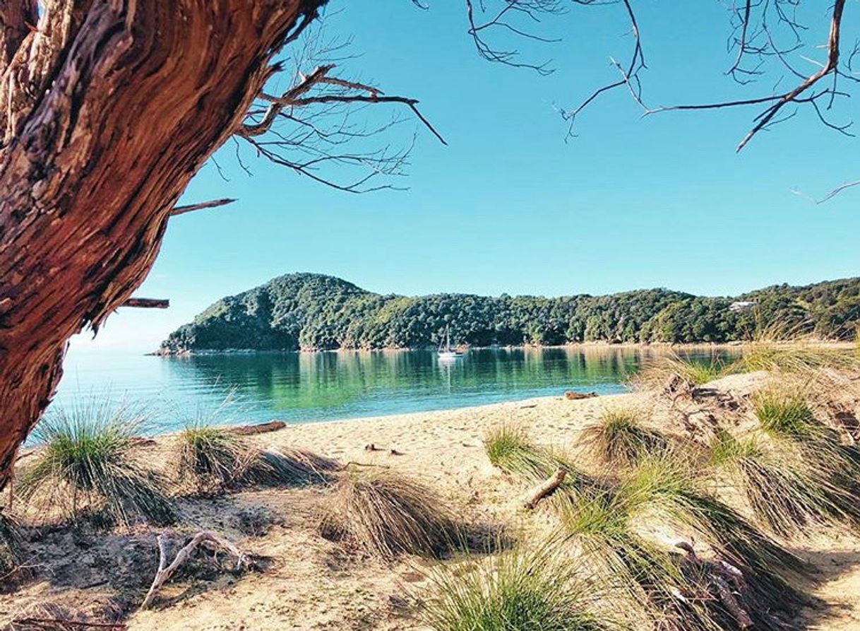 Lugar Anchorage Bay Abel Tasman