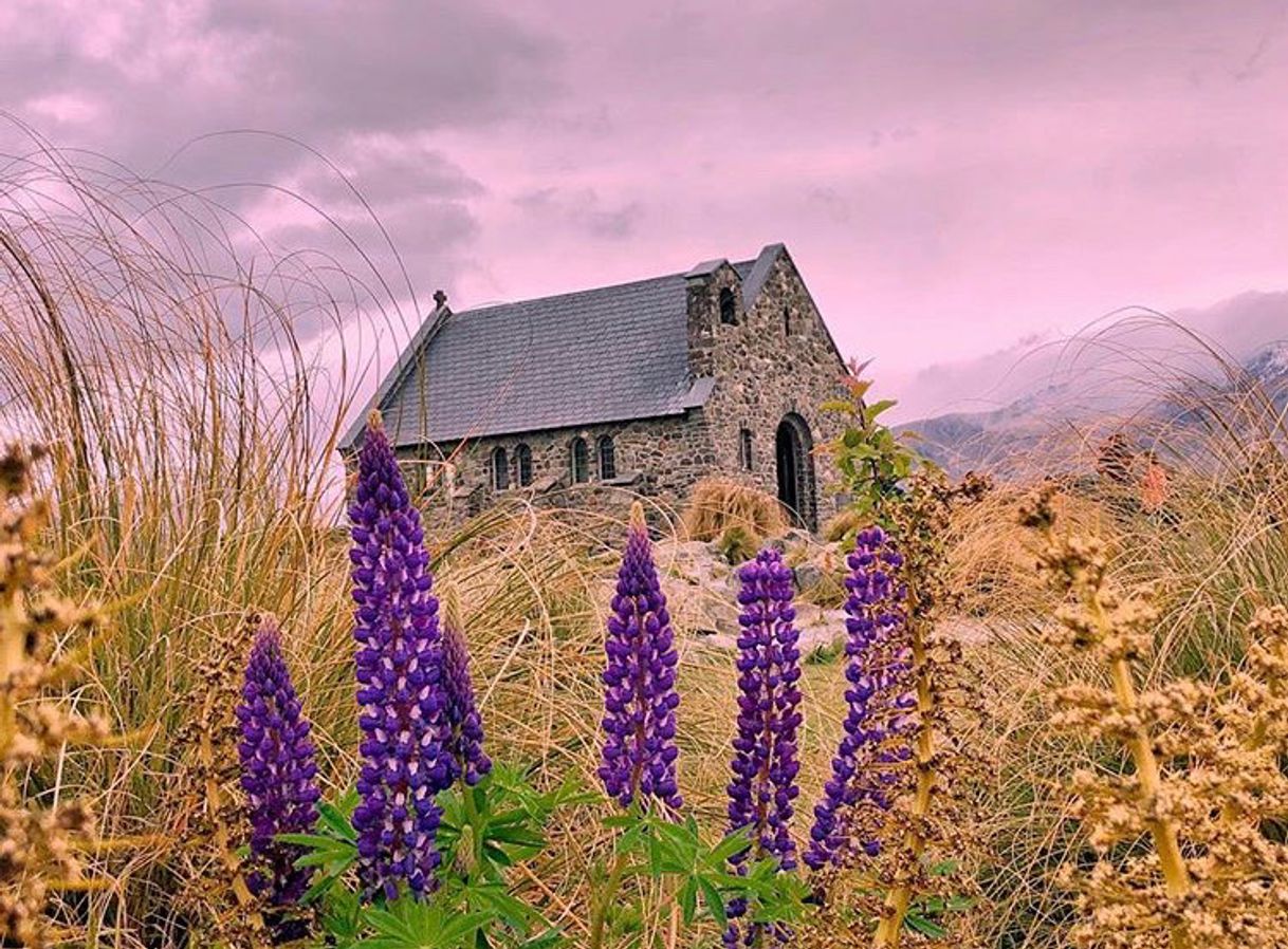 Lugar Church of the Good Shepherd