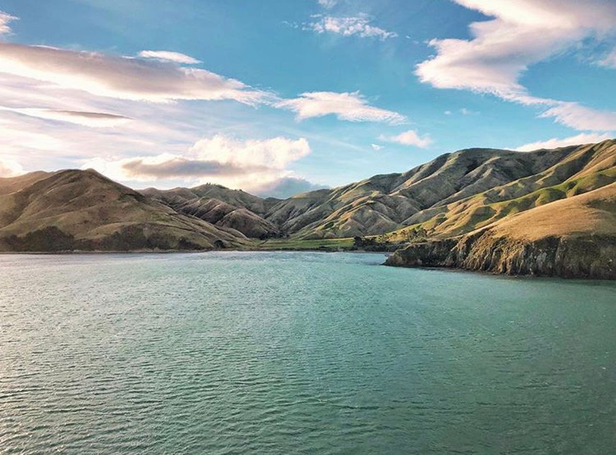 Place Cook Strait