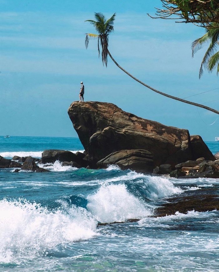 Place Dalawella Beach