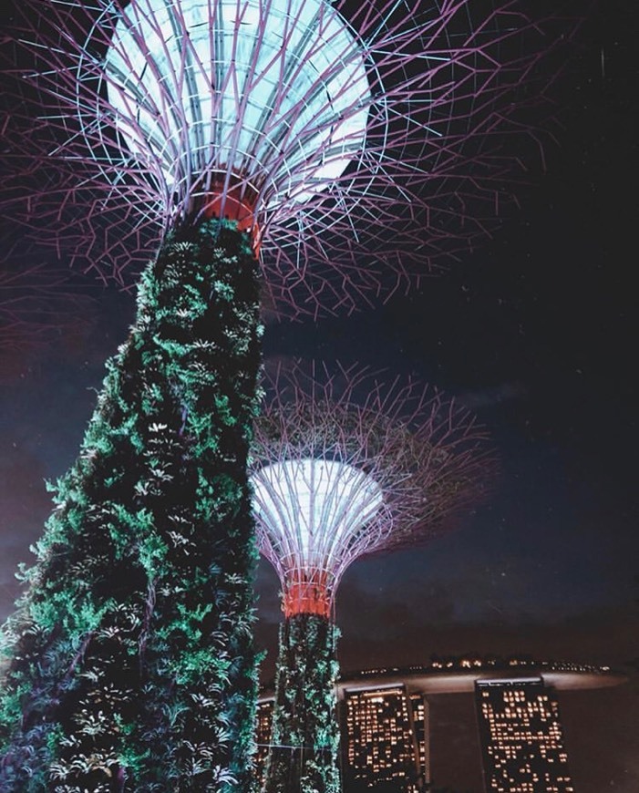 Place Gardens by the Bay