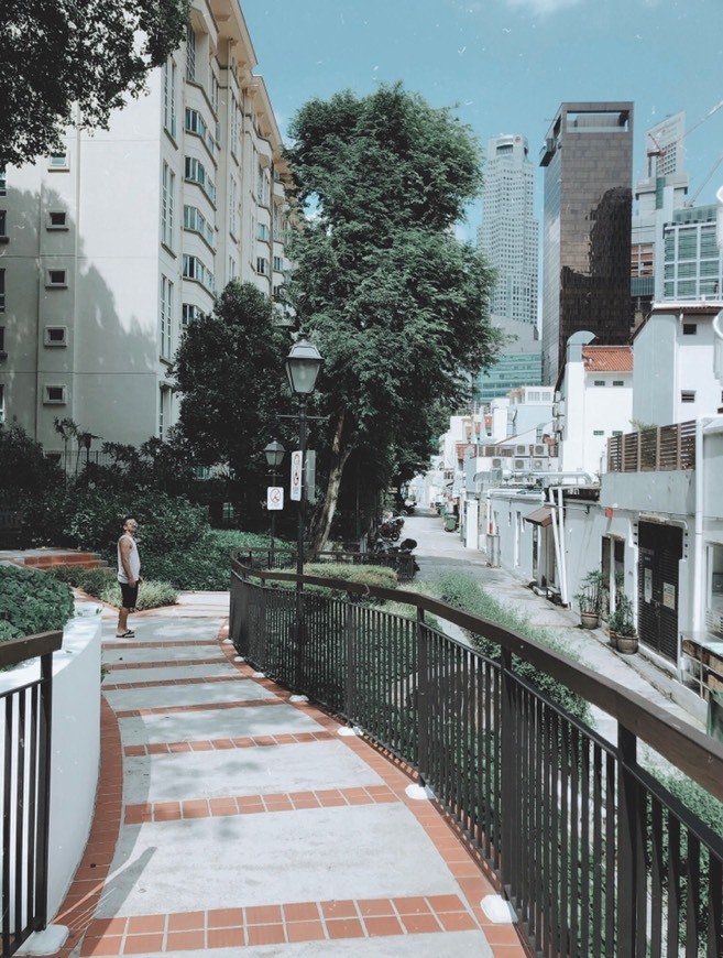 Place Ann Siang Hill Park