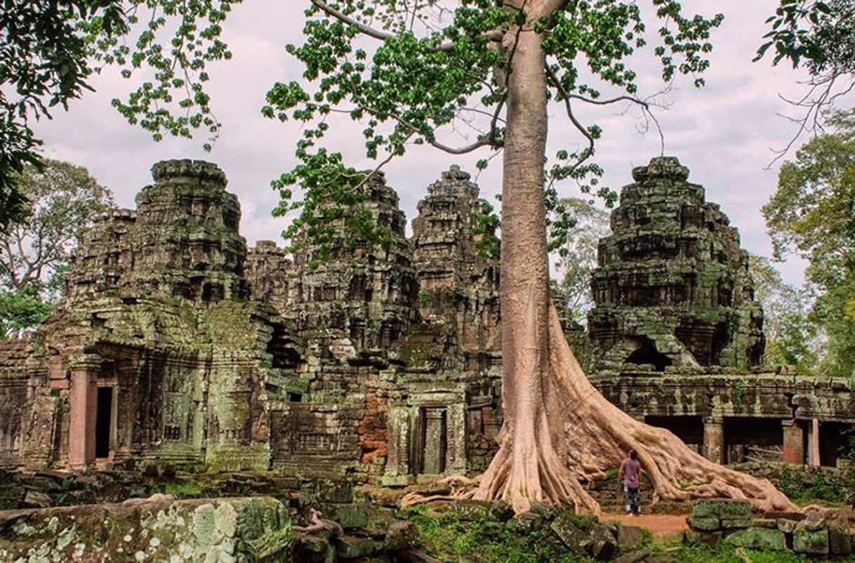 Place Banteay Kdei Temple班代喀蒂寺