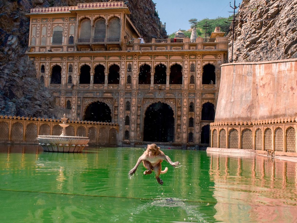 Place Hanuman Ji Temple