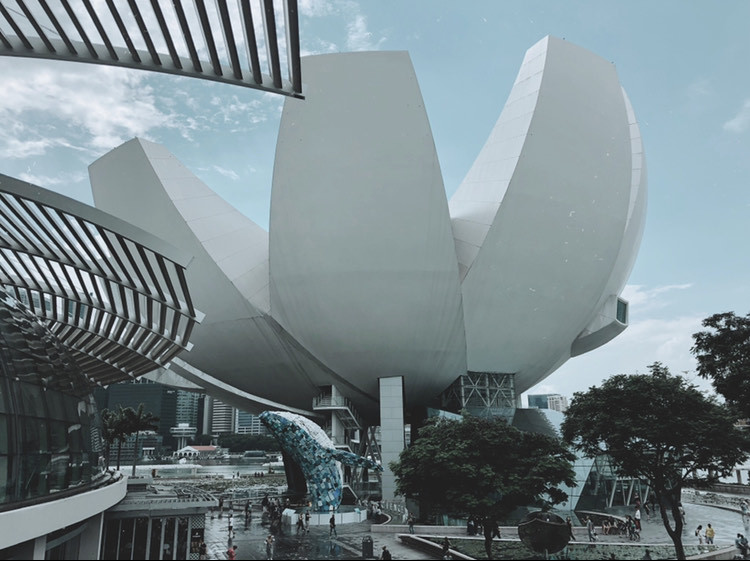 Place ArtScience Museum