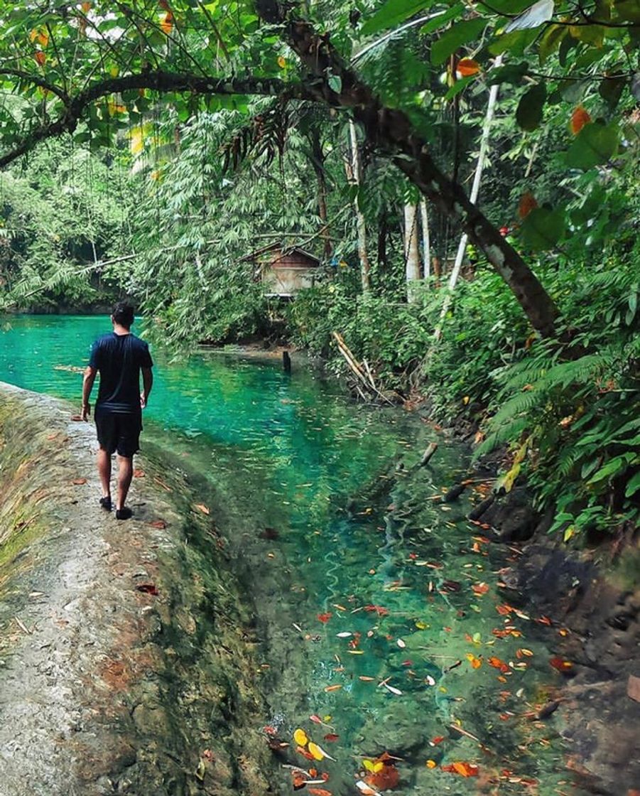 Place Kawasan Falls