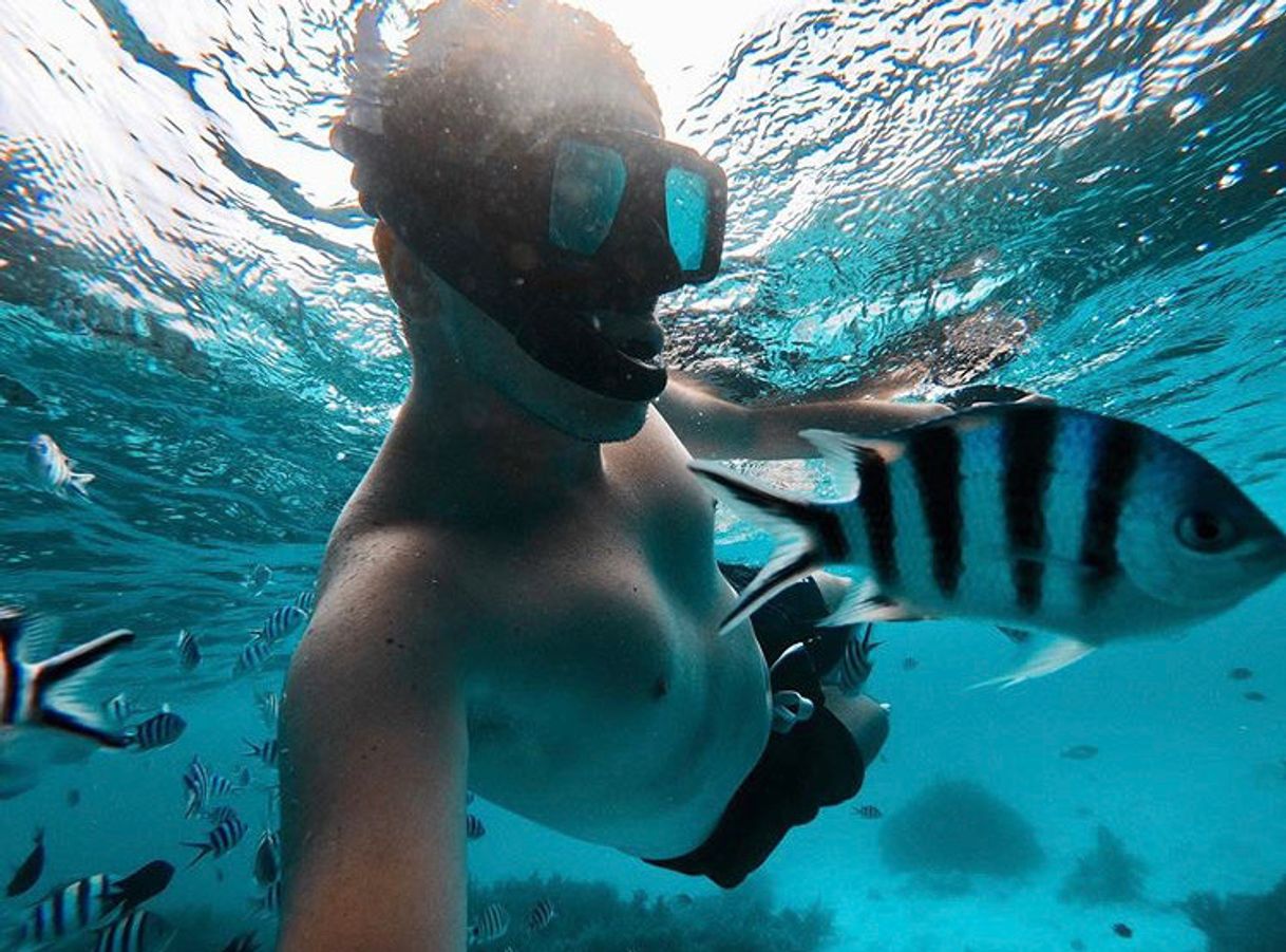 Social Snorkeling in the Philippines 