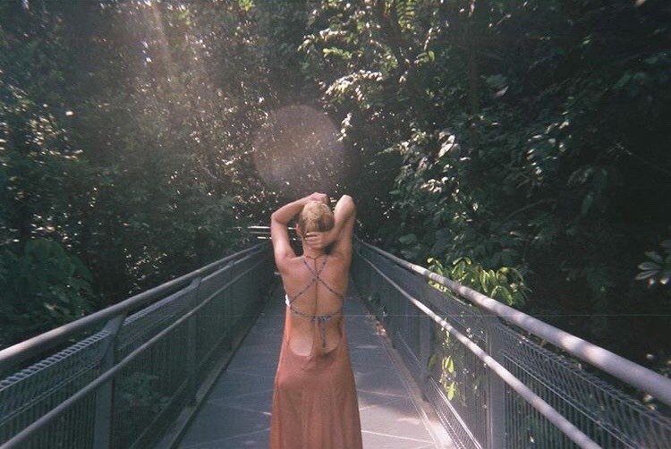 Place Macritchie Treetop Walk Trailhead