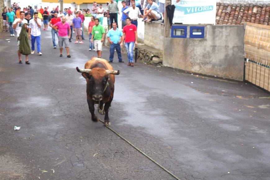 Lugar Feteira