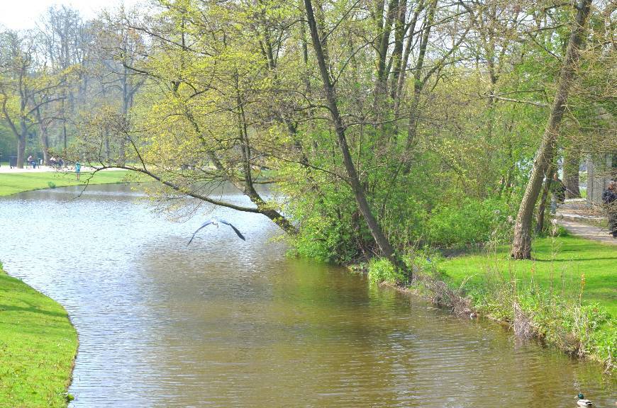 Restaurantes Vondelpark