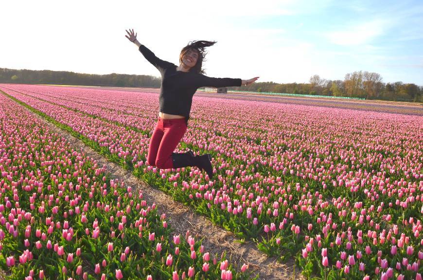 Place Keukenhof HOLLAND