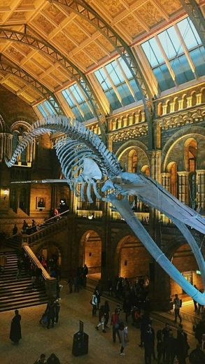 Natural History Museum