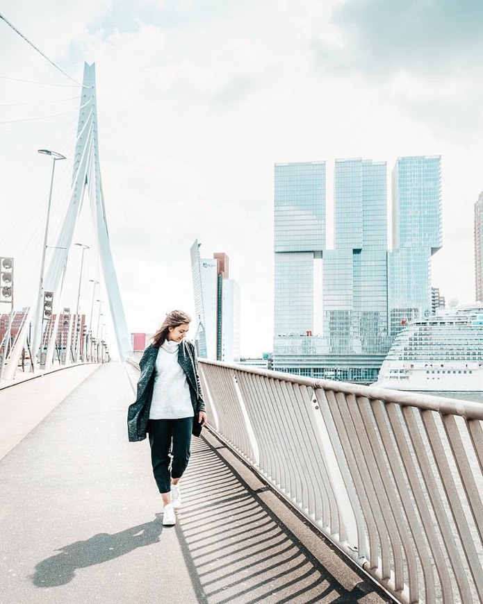 Place Erasmus Bridge