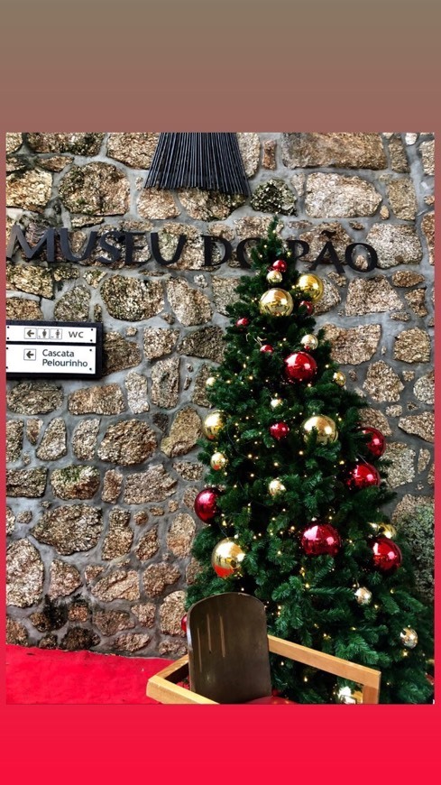 Restaurants Museu do Pão