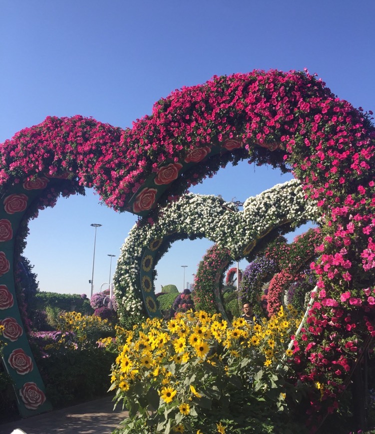 Place Miracle Garden